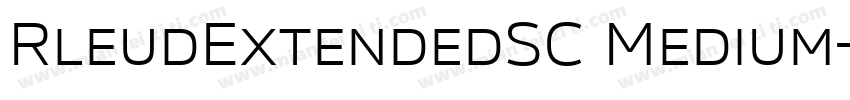 RleudExtendedSC Medium字体转换
